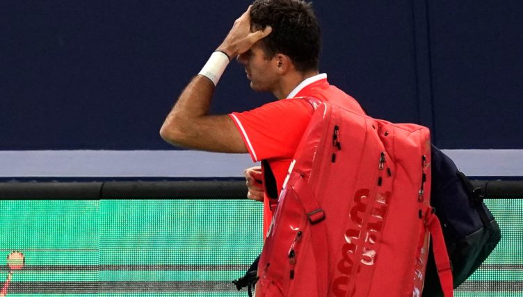 胡安·马丁·德尔·波特罗(Juan Martin del Potro)感到失望