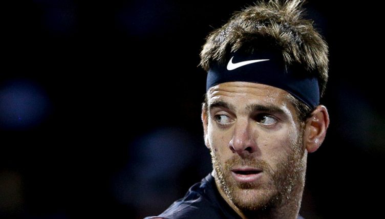 Juan Martin del Potro looks on
