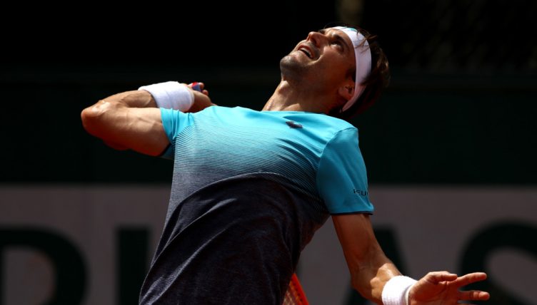 David Ferrer serves