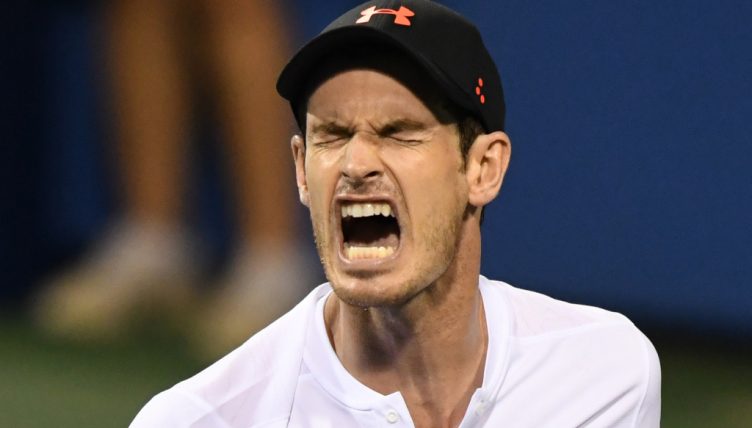 Andy Murray screaming