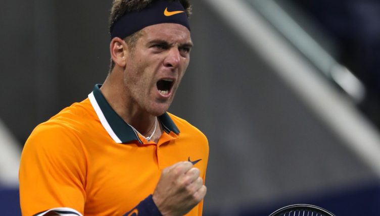 Juan Martin del Potro celebrates