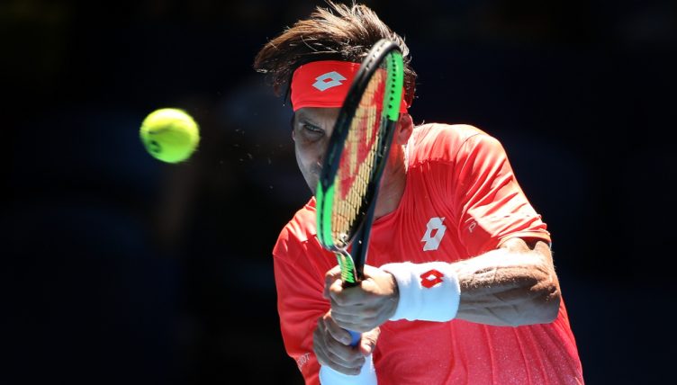 David Ferrer in action