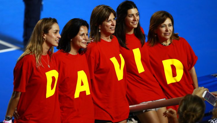 David Ferrer fans
