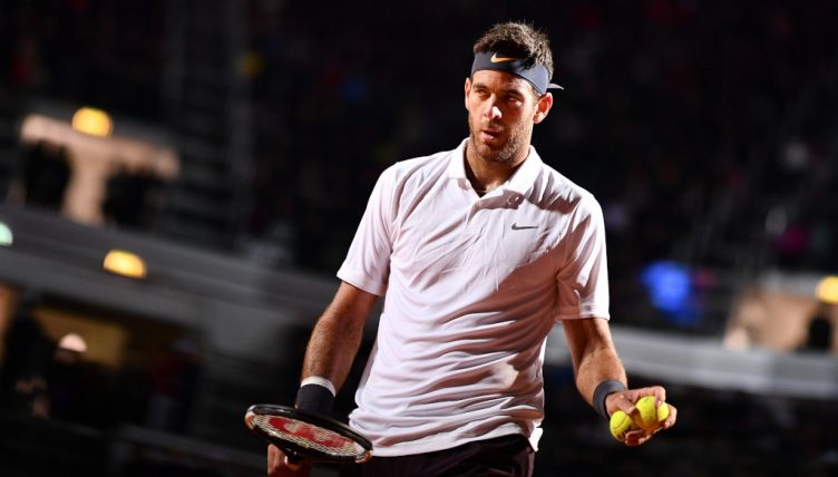 Juan Martin del Potro