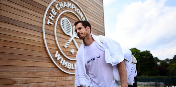 Andy Murray at Wimbledon