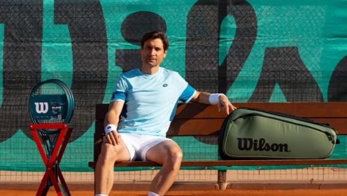 David Ferrer gave Wilson an insight into serving