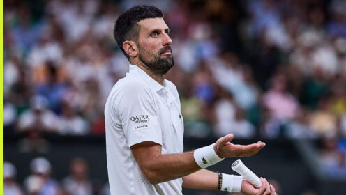 Pictured: Novak Djokovic looks bemused at Wimbledon during his match with Felix Auger-Aliassime