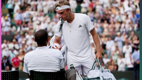 Alejandro Davidovich Fokina and Felix Auger-Aliassime during Wimbledon 2026