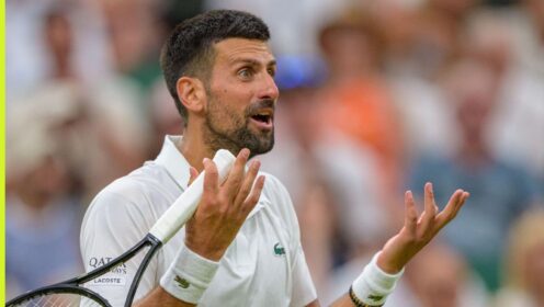 Novak Djokovic gestures during his match at Wimbledon